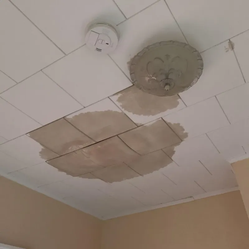 Ceiling Water Damage Repair in Blossburg, PA