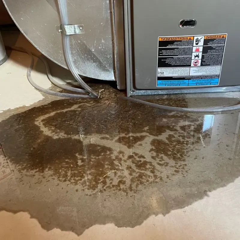 Pipe Burst and Leak Restoration in Blossburg, PA