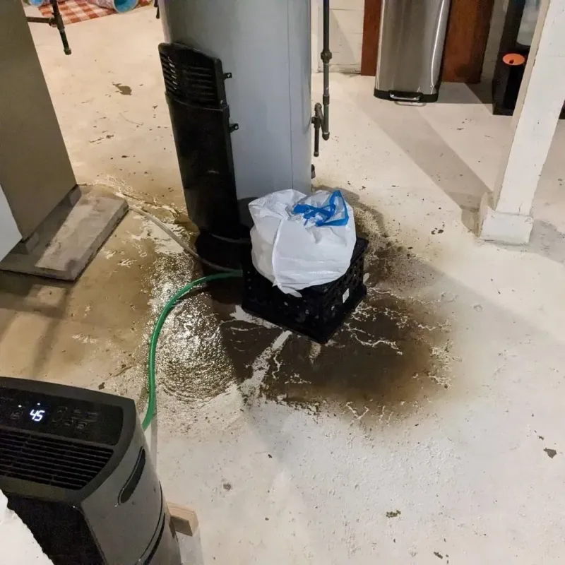 Sewage Backup Cleanup Service in Blossburg, PA